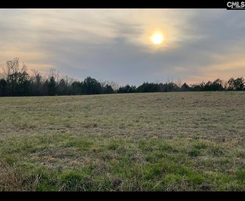 0 Lewie Rd, Gilbert, SC, 29054 | Card Image
