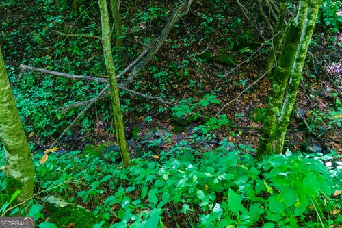 na-LOT OFF Bryson City Rd, Bryson City, NC, 28713 | Card Image