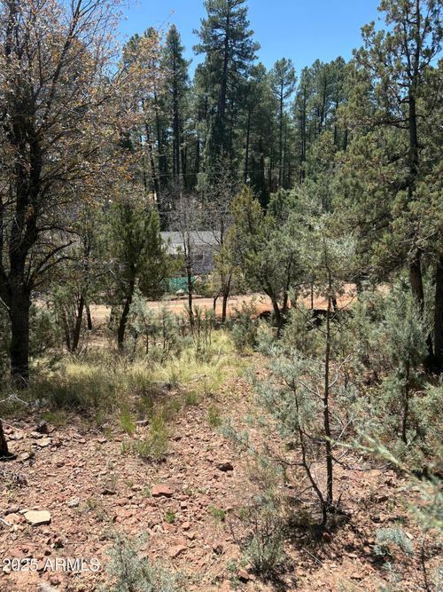 11-0 N Randall Pl, Pine, AZ, 85544 | Card Image