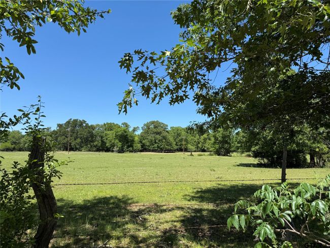 72 Acres N Farm Road 900, Home with 0 bedrooms, 0 bathrooms and null parking in Saltillo TX | Image 19