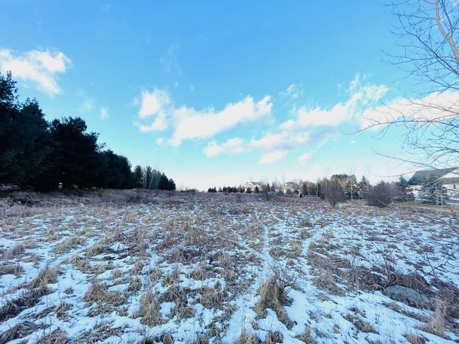 Lot 6 Sleeping Meadow Ln, Home with 0 bedrooms, 0 bathrooms and null parking in Mason MI | Image 7