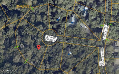 8 Leopard Frog Ct, Bald Head Island, NC, 28461-5001 | Card Image
