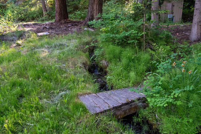 Year round brook | Image 29