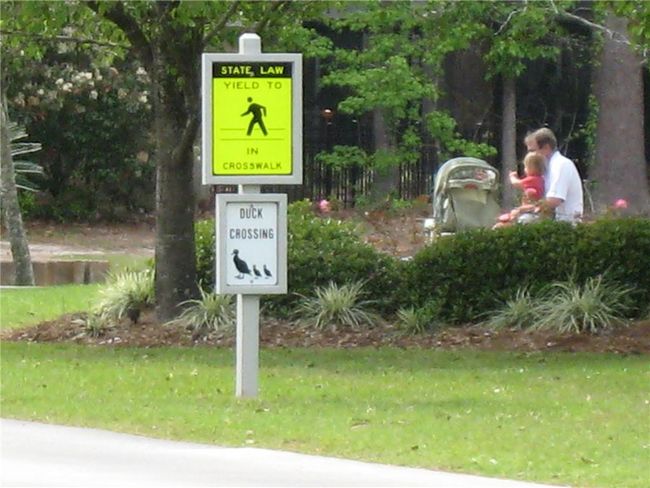 168 Trace Loop, House other with 3 bedrooms, 3 bathrooms and null parking in Mandeville LA | Image 17