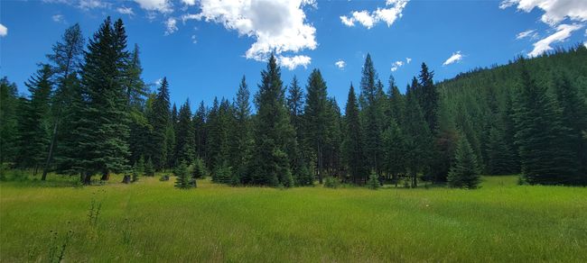 Meadow | Image 5