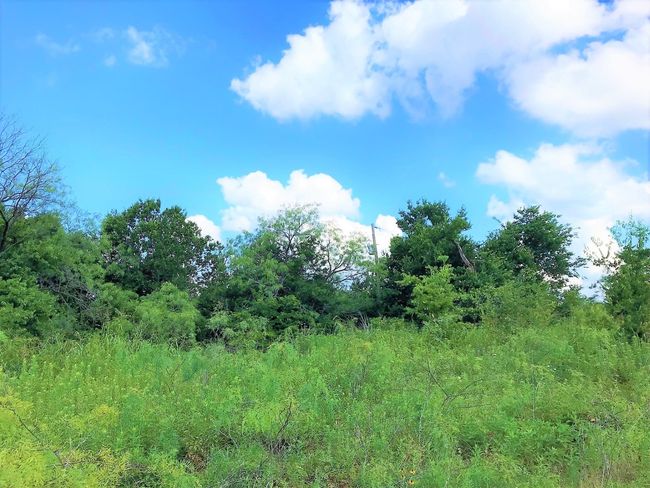 182 Hcr 3352, Home with 0 bedrooms, 0 bathrooms and null parking in Hubbard TX | Image 30