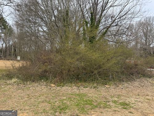 0 Davenport St, Cedartown, GA, 30125 | Card Image