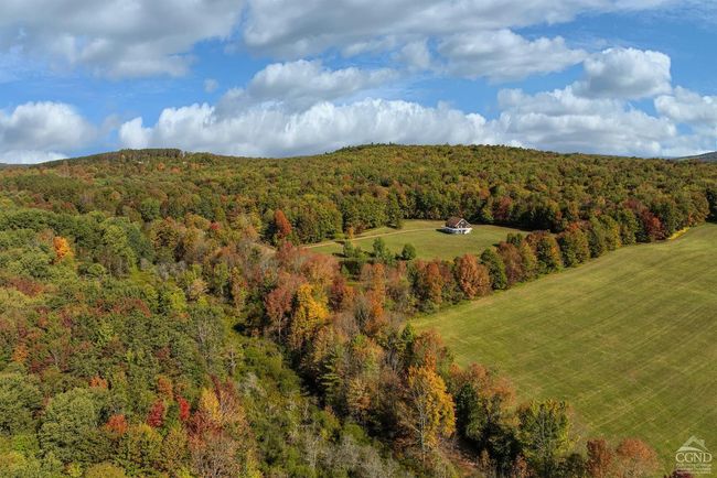 11441184 Hollister Hill Rd, House other with 6 bedrooms, 5 bathrooms and null parking in Delhi NY | Image 99