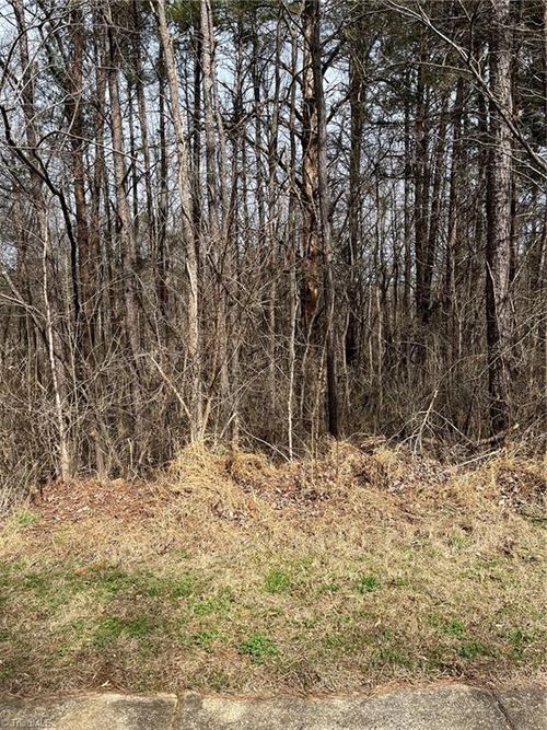 Lot 93 Haynoke Drive, Graham, NC, 27253 | Card Image