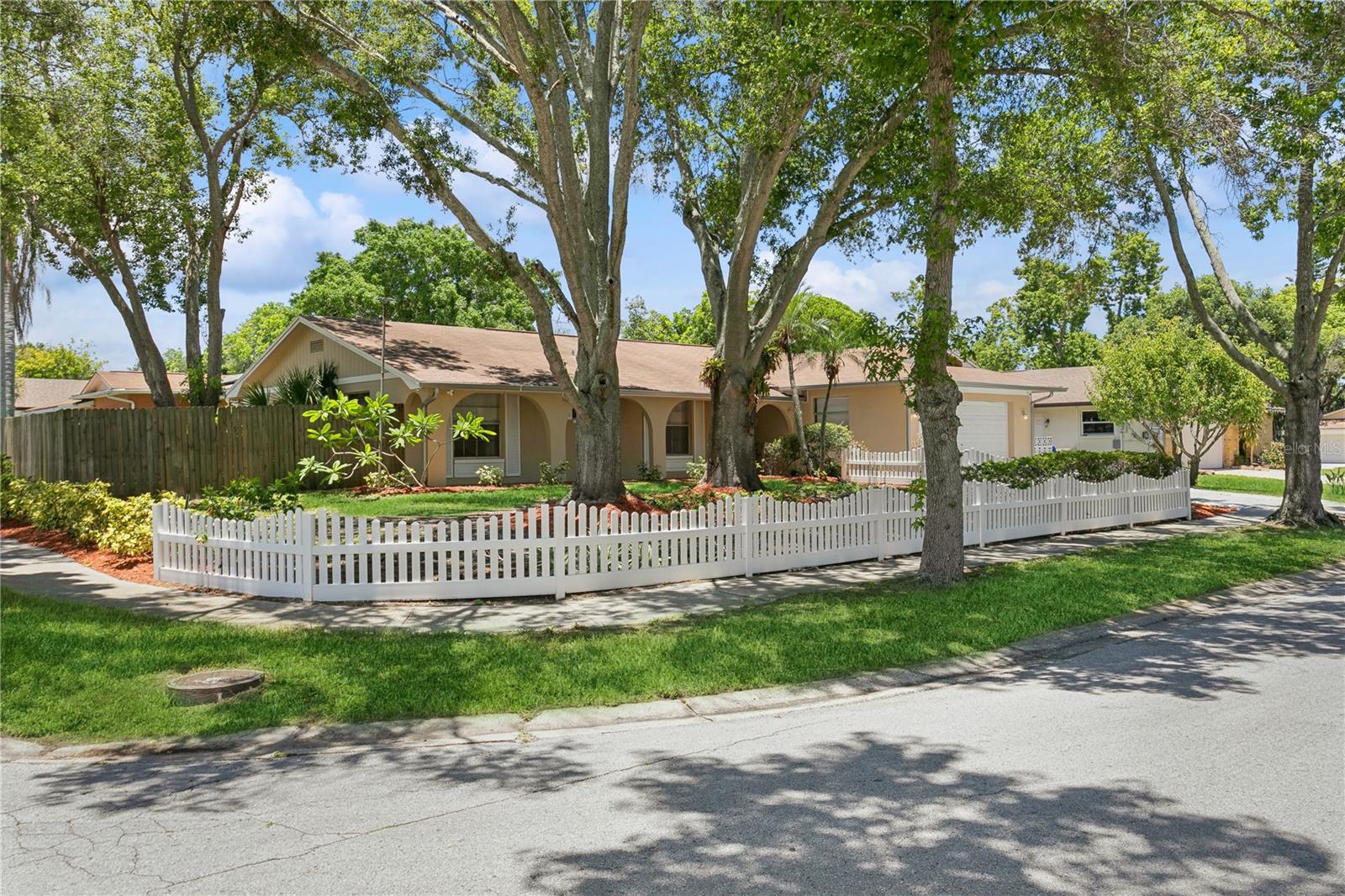 Colonial Dr, Dunedin, FL 34698