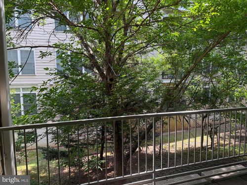 102-8181 Carnegie Hall Ct, VIENNA, VA, 22180-7364 | Card Image
