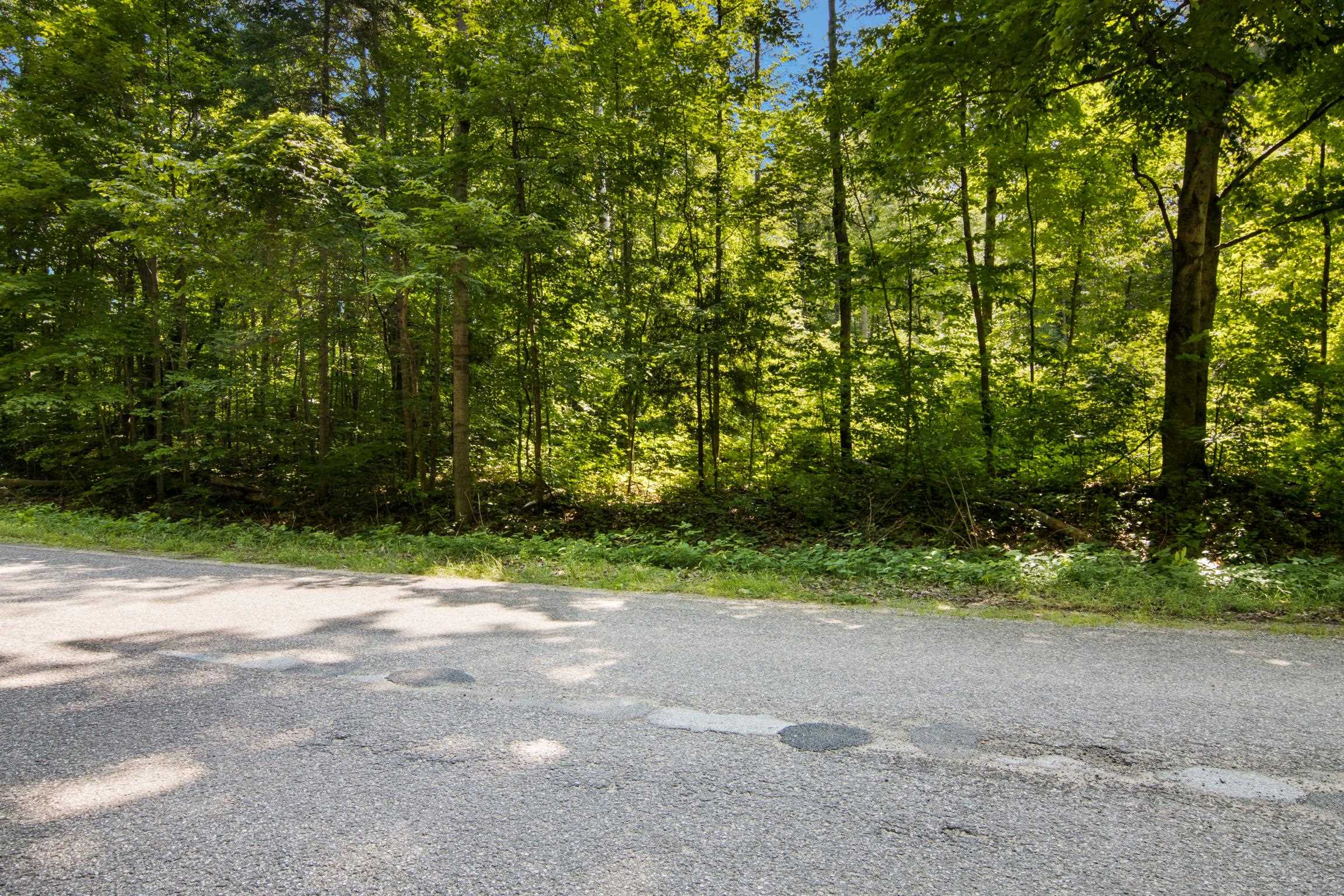 Land in Custer Township 2