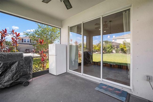 Screened Lanai | Image 5