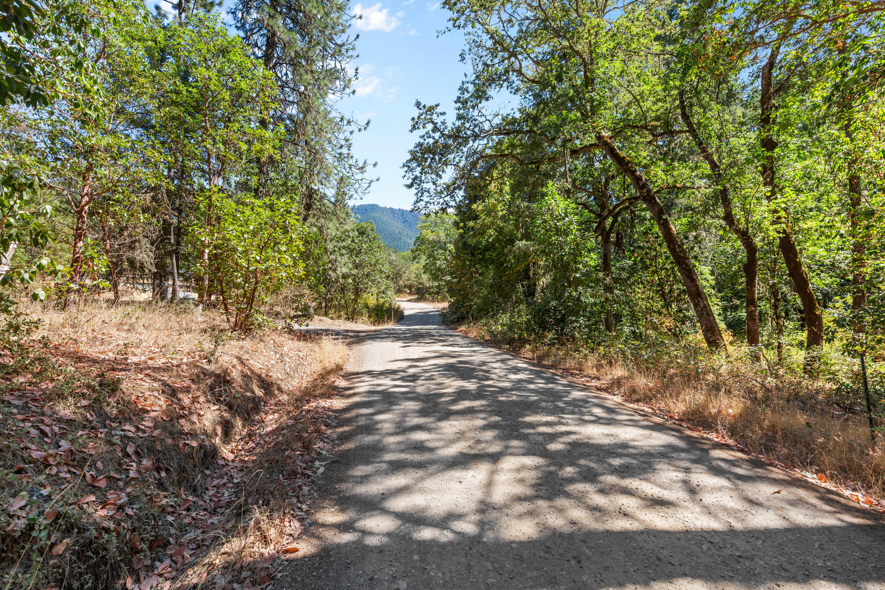 Land in Applegate 3