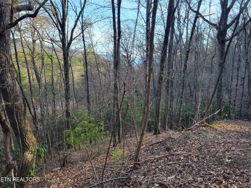 Lot 5 Swann Saddle Rd, Sevierville, TN, 37876 | Card Image