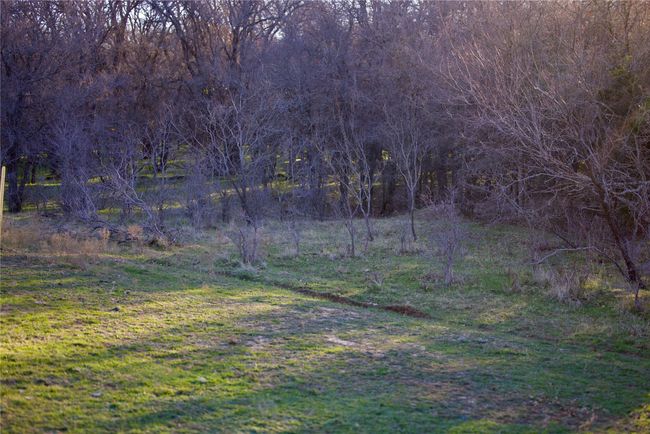 View of nature | Image 32