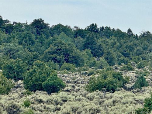 38 Wild Horse Rd, San Luis, CO, 81152 | Card Image