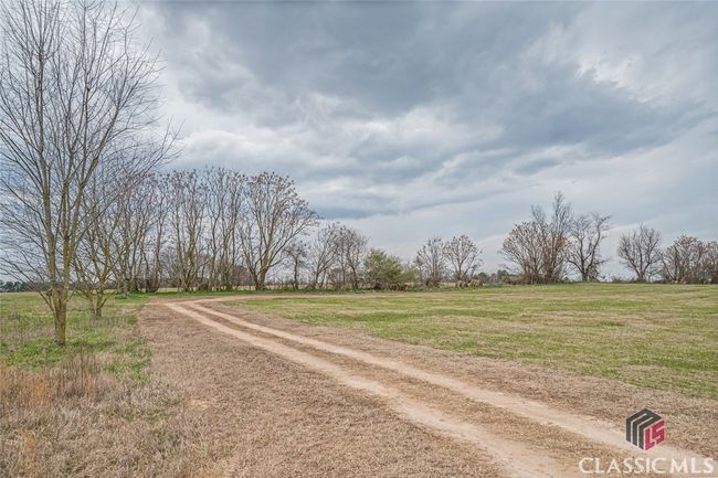 95 Walker Gresham Rd, Home with 0 bedrooms, 0 bathrooms and null parking in Stephens GA | Image 8