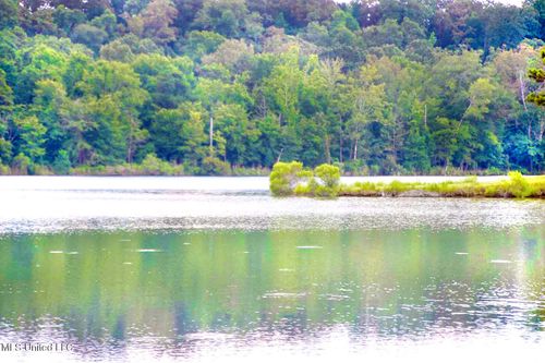 Lot 72 Chestnut Spring Road, Flora, MS, 39071 | Card Image
