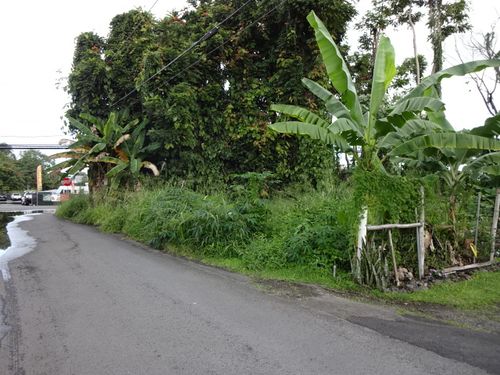 141 Manini St, HILO, HI, 96720-4366 | Card Image