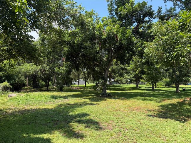 220 Allen Rd, Home with 0 bedrooms, 0 bathrooms and null parking in Oyster Creek TX | Image 4