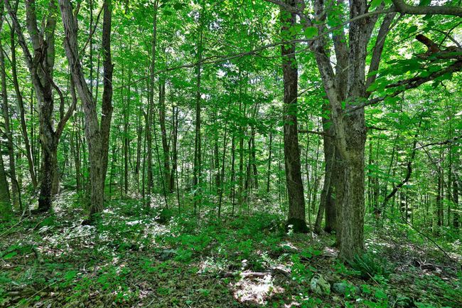 14 Osprey Run, Home with 0 bedrooms, 0 bathrooms and null parking in Rochester VT | Image 7