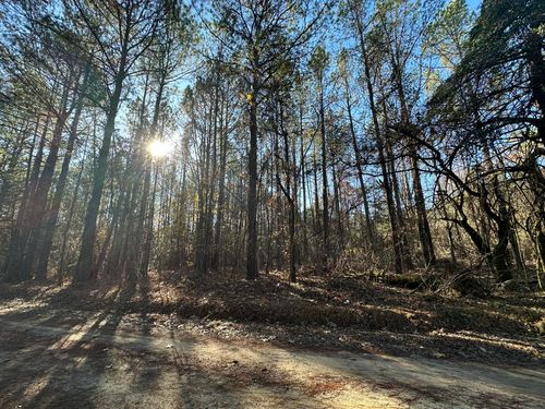 LOT 6 Saggus Rd, Washington, GA, 30673 | Card Image
