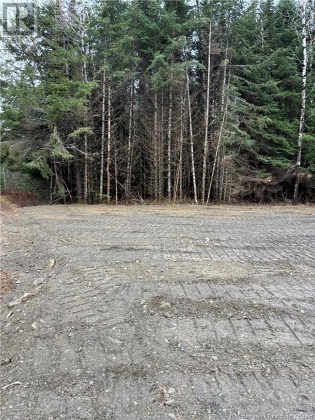 1636 Ch Rivière Verte, Home with 0 bedrooms, 0 bathrooms and null parking in Saint Basile NB | Image 7