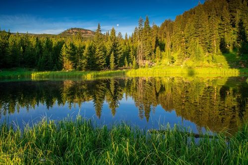 7 Trout Pond Lane, Big Sky, MT, 59716 | Card Image