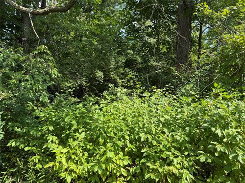 2.84 Acres Bambi Trail, Espyville, PA, 16424 | Card Image