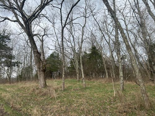 6 Lot New Zion Rd, Falmouth, KY, 41040-1174 | Card Image