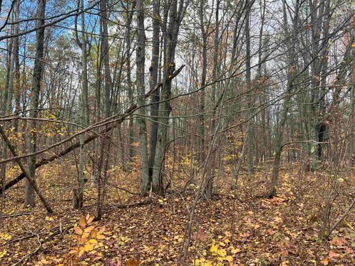 000 Wildwood Shores Dr, Kalkaska, MI, 49646 | Card Image