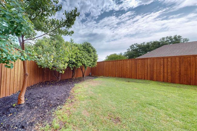 Pool-sized yard | Image 35