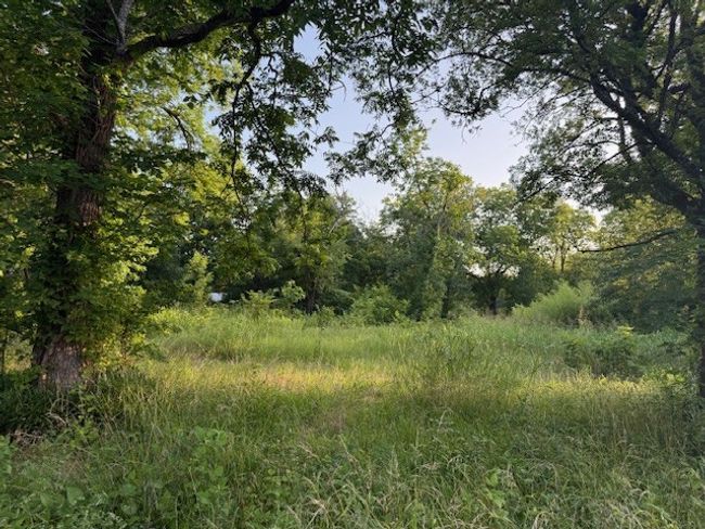 202 Elm St, Home with 0 bedrooms, 0 bathrooms and null parking in Roxton TX | Image 9
