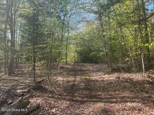 lot-6-12 Adirondack Heights Rd, Chestertown, NY, 12817 | Card Image