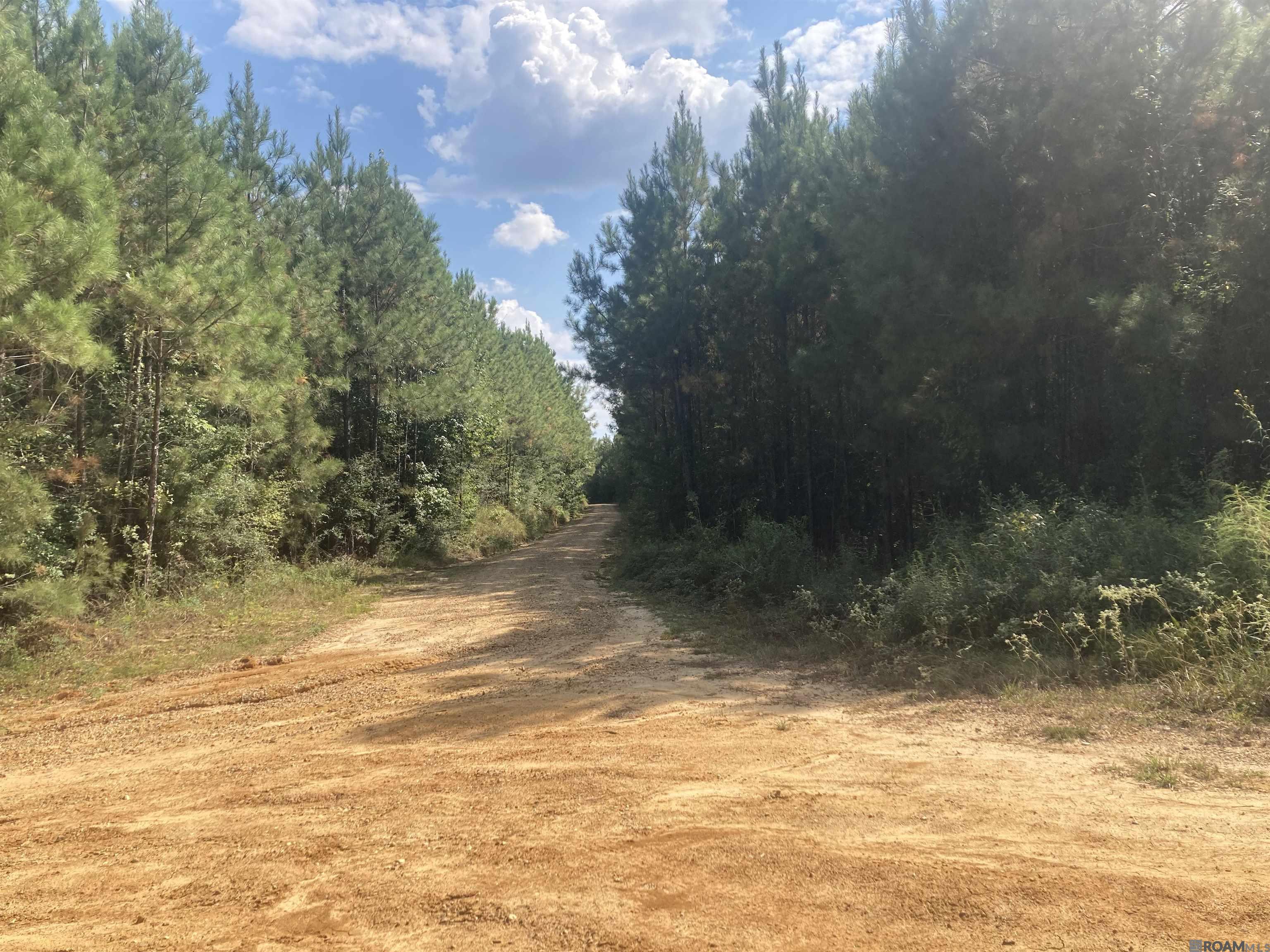 Land in Jackson 4