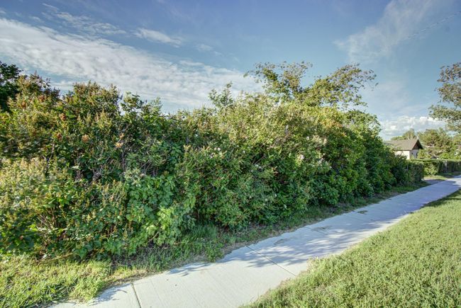 317 Dufferin St, Home with 0 bedrooms, 0 bathrooms and null parking in Granum AB | Image 8