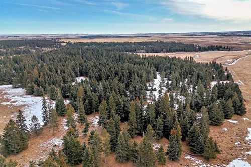 44022 Township Road 242, Rural Rocky View County, AB, T3Z0V8 | Card Image