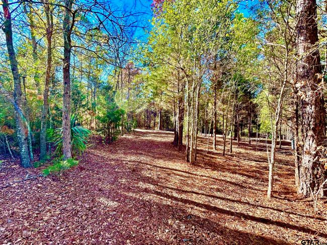 000 Grand View Dr, Home with 0 bedrooms, 0 bathrooms and null parking in Athens TX | Image 12