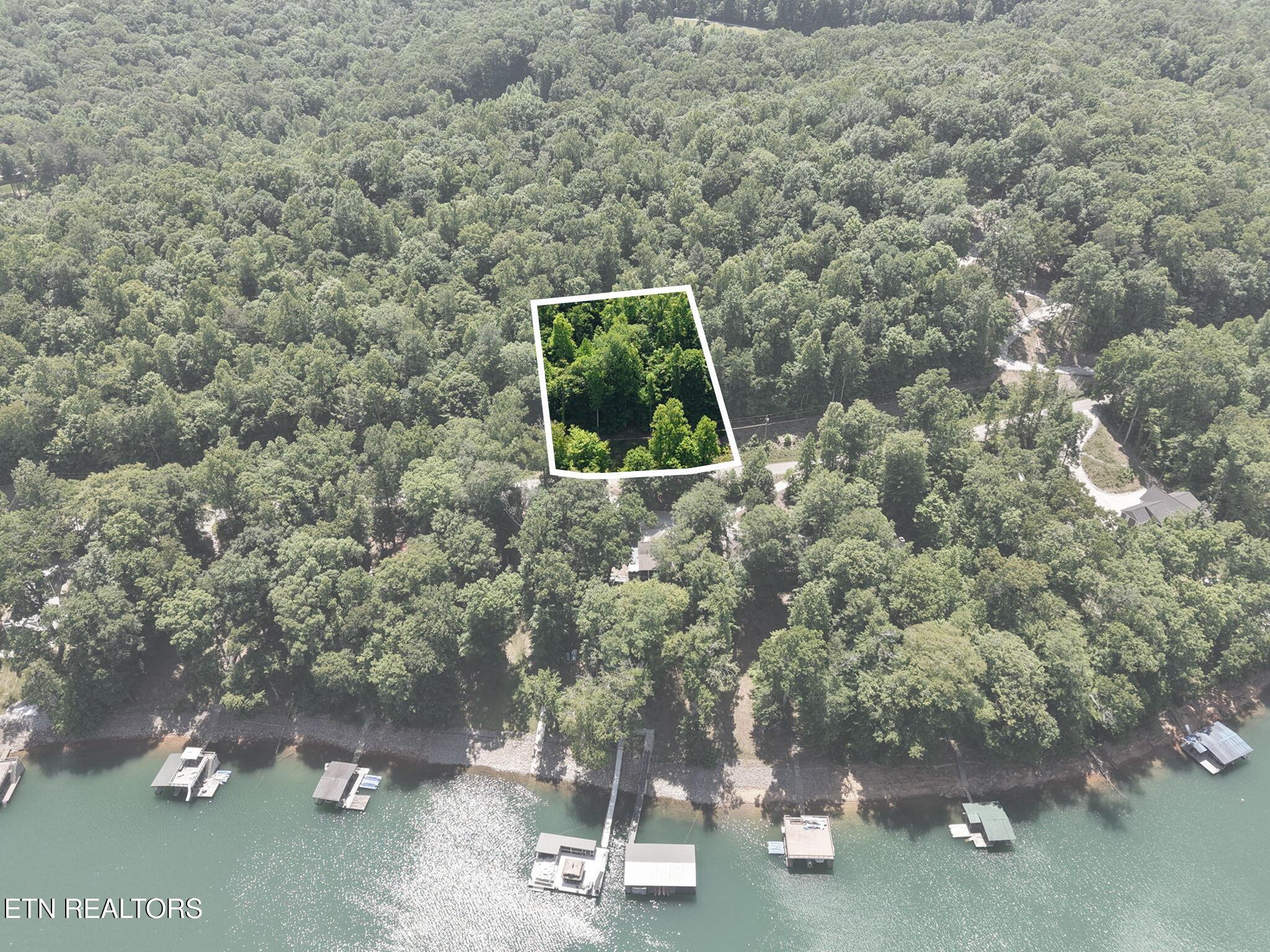 Land in Jacksboro 2