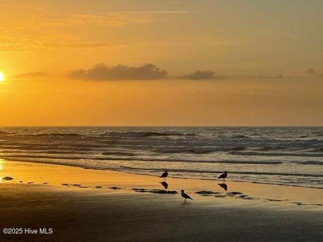 LOT-39 - 378 Ladyfish Loop Nw, House other with 4 bedrooms, 3 bathrooms and 2 parking in Sunset Beach NC | Image 17