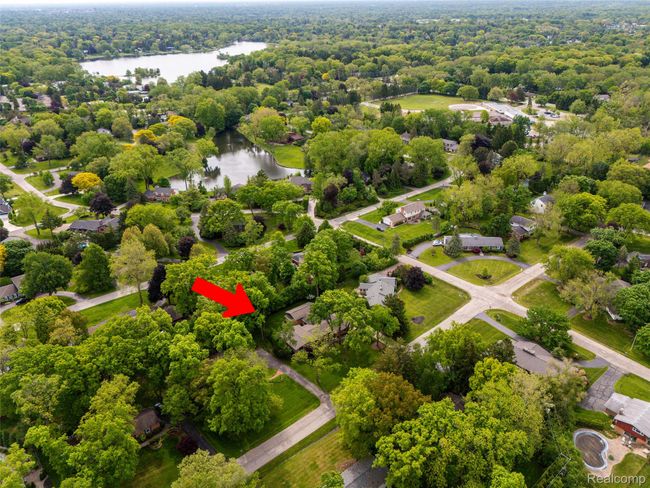 Nestled Deep in the Neighborhood | Image 51