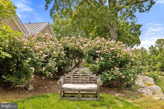 6452 Old Goose Creek Rd, House other with 3 bedrooms, 5 bathrooms and null parking in MIDDLEBURG VA | Image 13