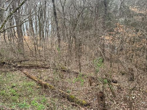 0 Lakeside Dr, Smithville, TN, 37166 | Card Image