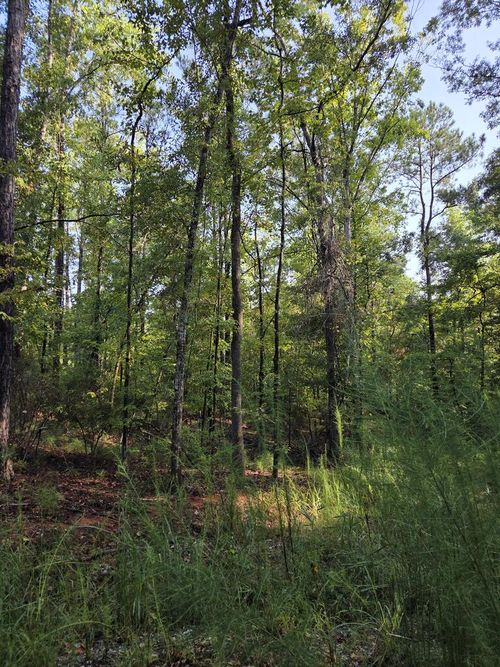 3982 Essex Heights Court, Fortson, GA, 31808 | Card Image