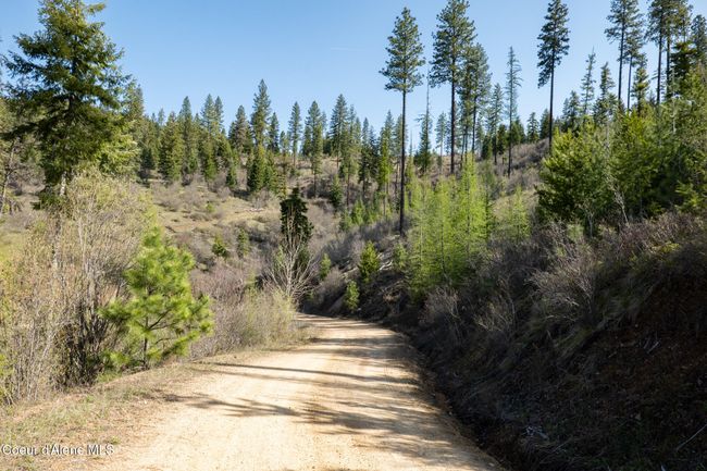 262 North Side Road, Home with 0 bedrooms, 0 bathrooms and null parking in Calder ID | Image 56