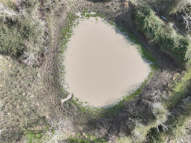 Small seasonal ponds are located towards the back of the property. water can be pumped to the pond once a well is present - there is a huge aquifer under the property. | Image 6