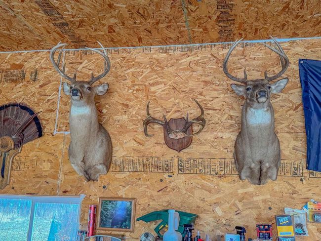 W10236 County Road M, Home with 0 bedrooms, 0 bathrooms and null parking in Merrill WI | Image 15
