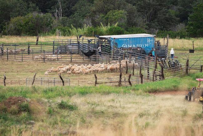 186 Piiholo Rd, Home with 0 bedrooms, 0 bathrooms and null parking in Makawao HI | Image 42