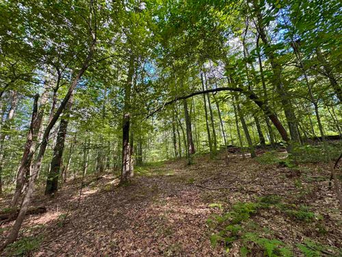 Tract 2 S Teter Creek Road, Montrose, WV, 26283 | Card Image